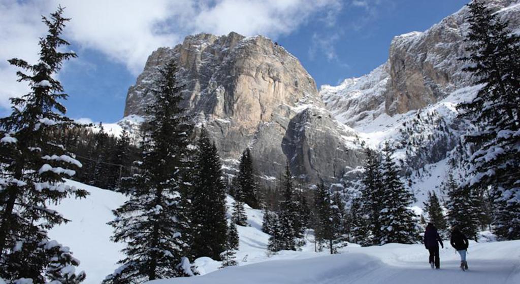 Hotel Meisules Selva di Val Gardena Esterno foto