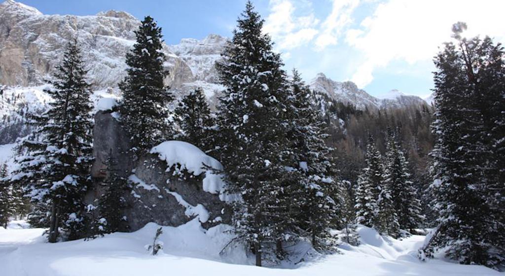 Hotel Meisules Selva di Val Gardena Esterno foto