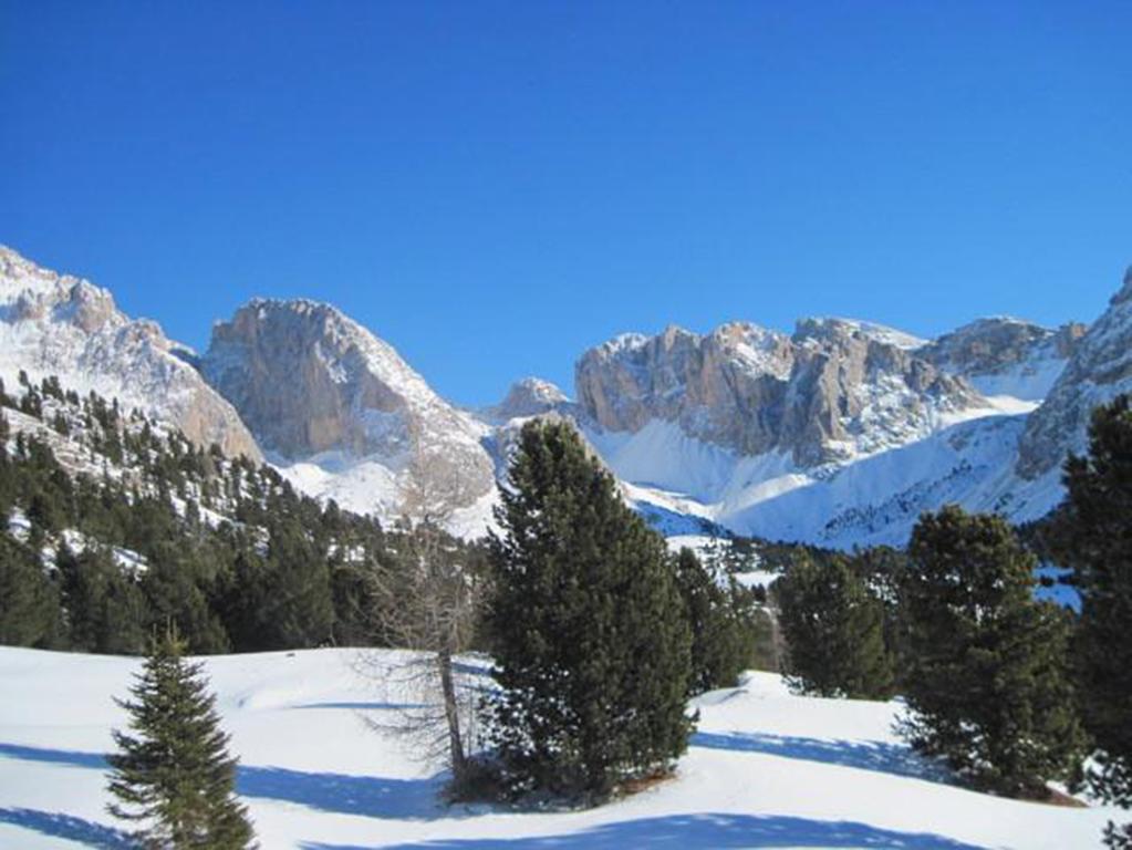 Hotel Meisules Selva di Val Gardena Esterno foto